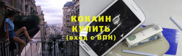 индика Баксан