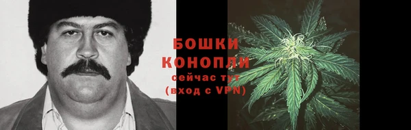 прущие грибы Белоозёрский
