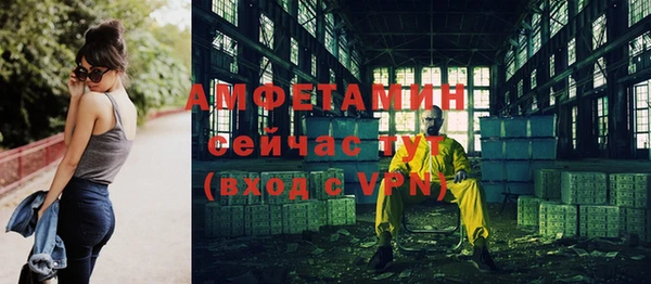 индика Баксан
