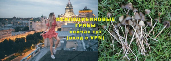 хмурый Балабаново