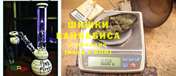 индика Баксан