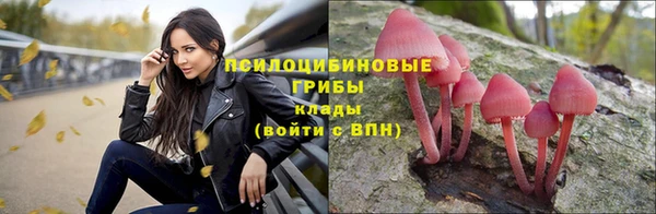 индика Баксан