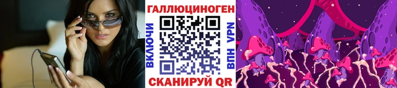 Купить где  Медынь  Галлюциногенные грибы мицелий 
